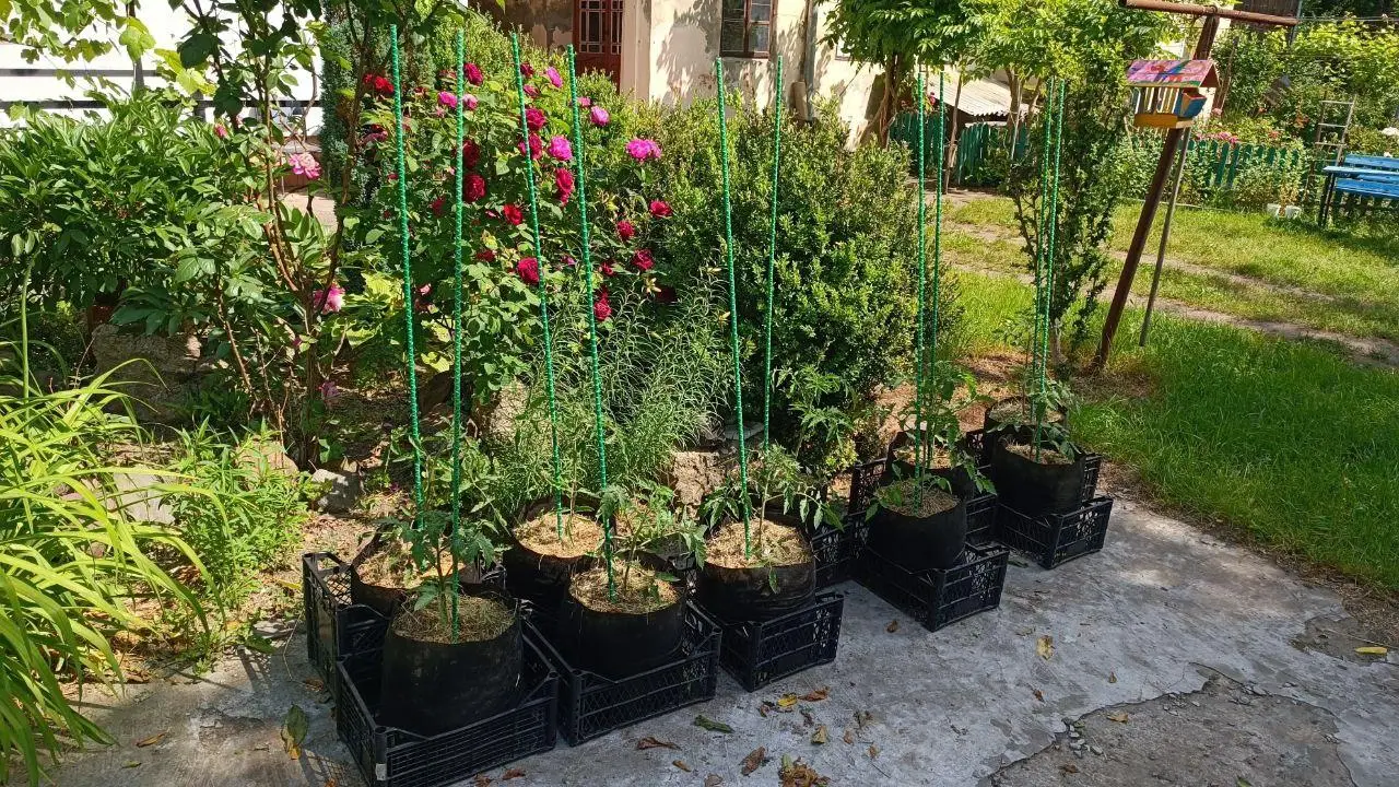 Композитні опори