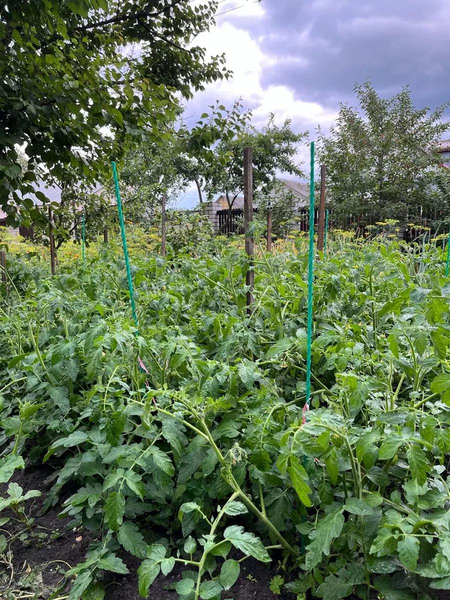 Композитні опори