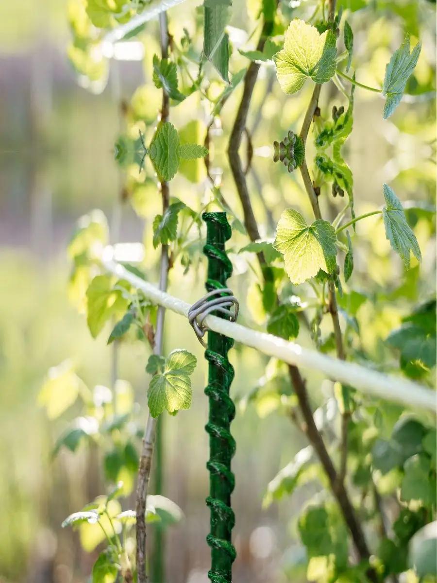 Пилосос переваги