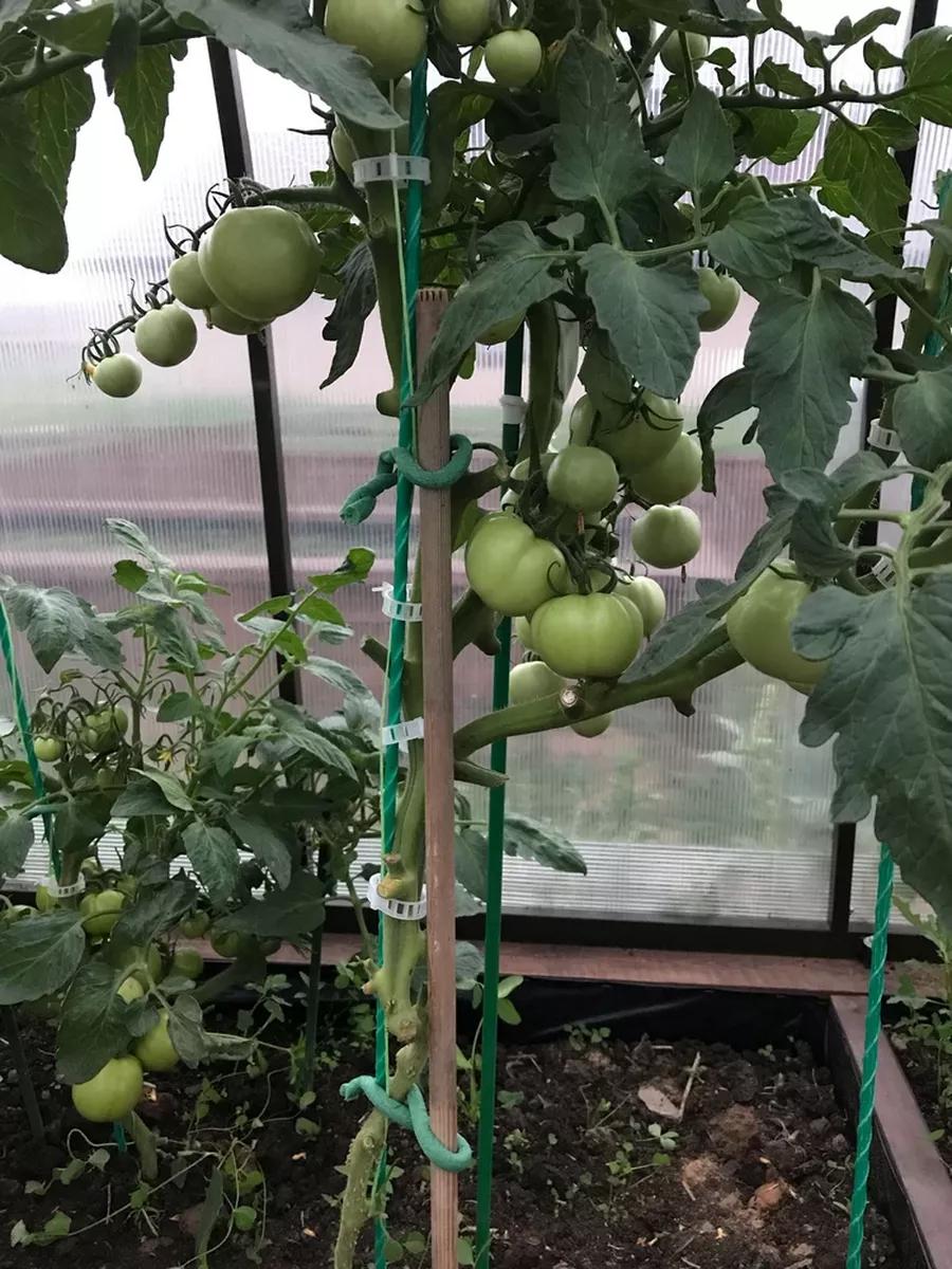 Пилосос переваги